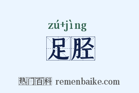 足胫是什么意思的图片